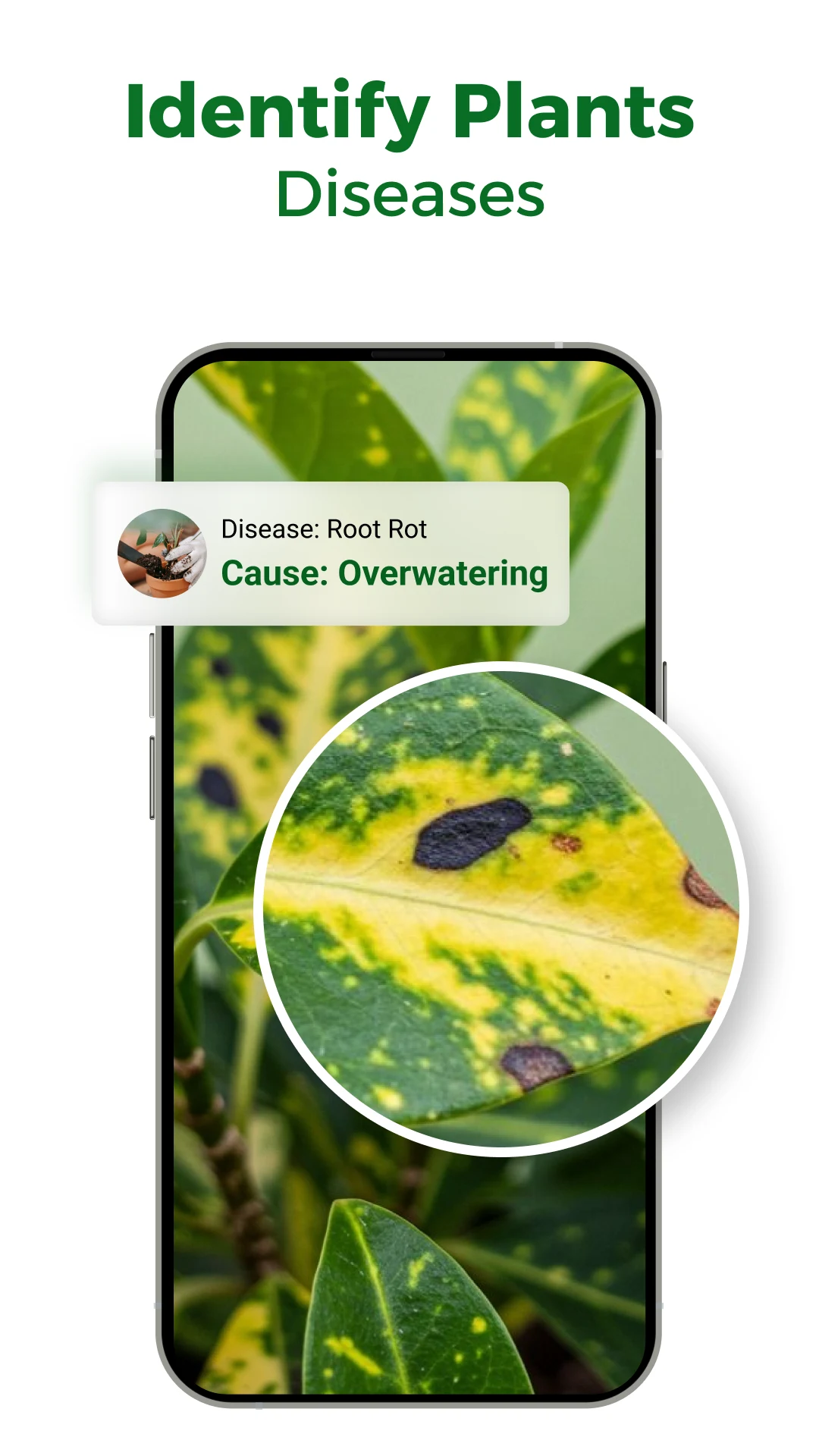 Herby: AI Plant Identifier screenshot
